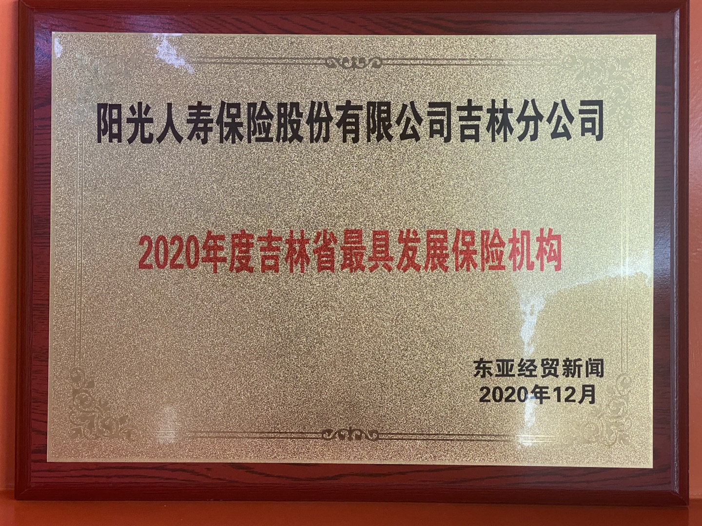 20201228113713i2020年度吉林省最具发展保险机构.jpg